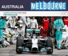 Nico Rosberg de 2014 Avustralya Grand Prix zaferi kutluyor